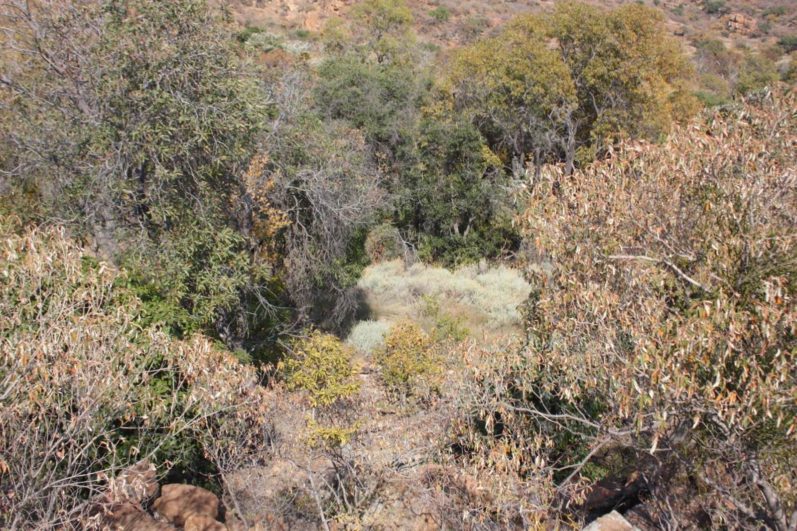 31.2 ha Land available in Zandfontein AH photo number 3