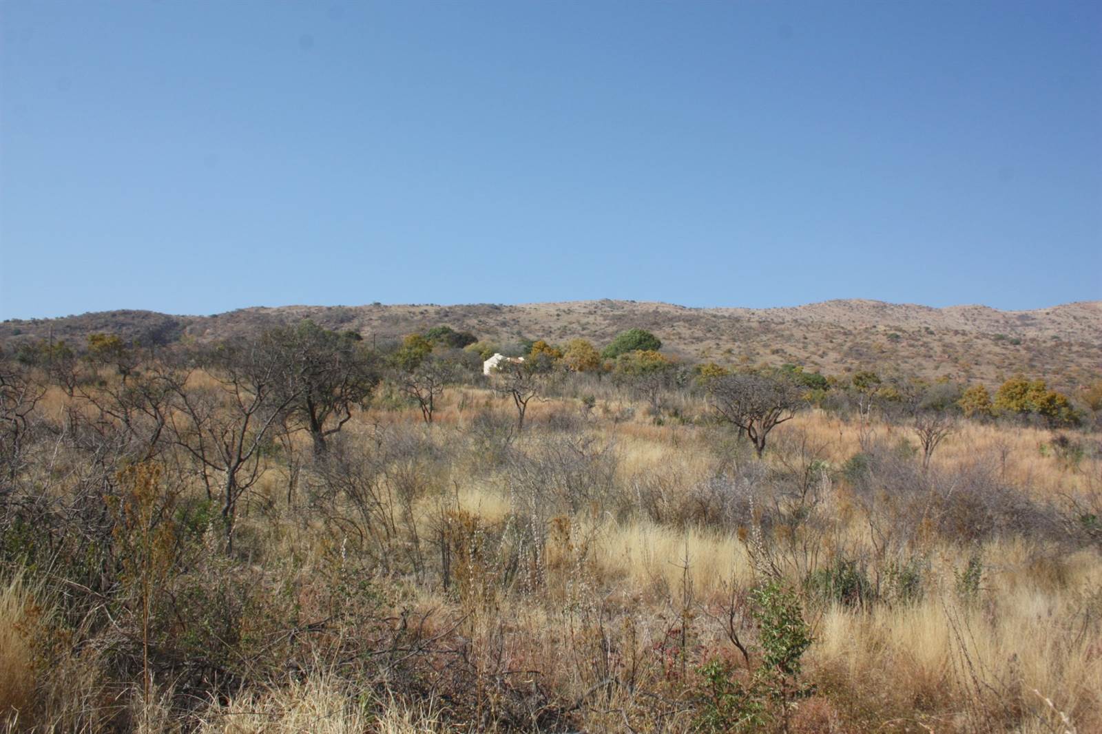 31.2 ha Land available in Zandfontein AH photo number 2