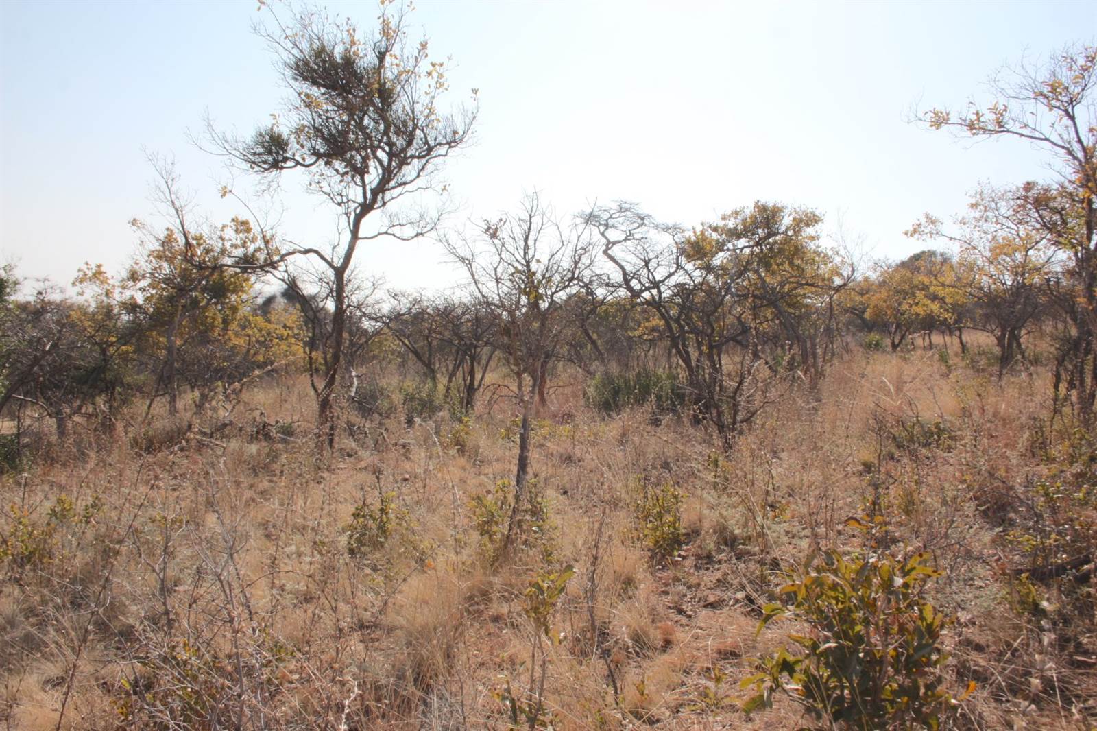 31.2 ha Land available in Zandfontein AH photo number 8