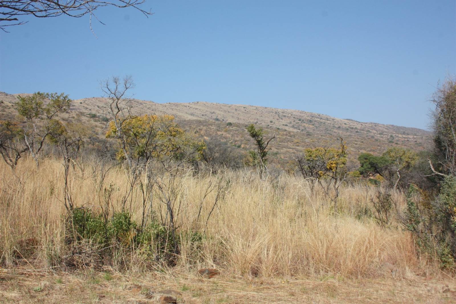 31.2 ha Land available in Zandfontein AH photo number 1