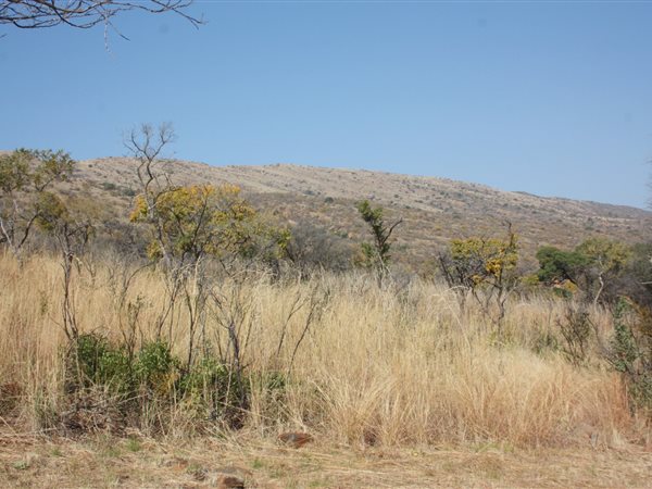 31.2 ha Land available in Zandfontein AH