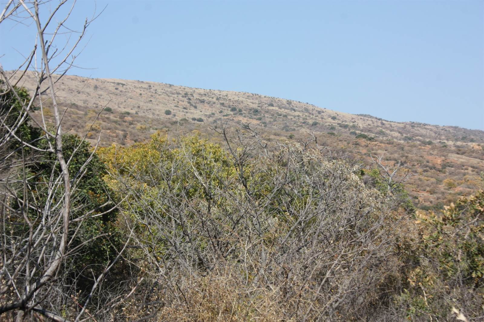 31.2 ha Land available in Zandfontein AH photo number 10