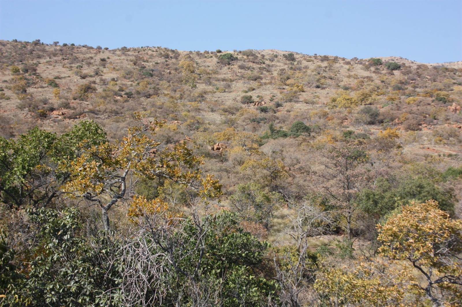 31.2 ha Land available in Zandfontein AH photo number 12