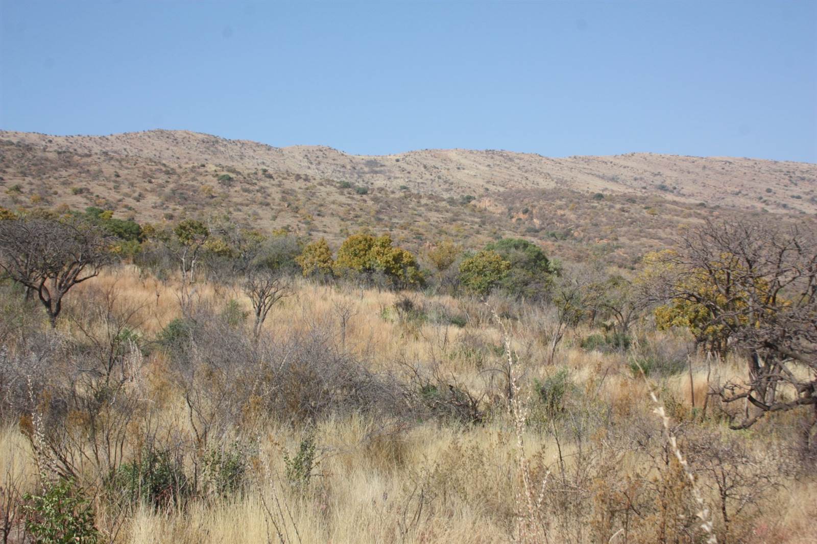 31.2 ha Land available in Zandfontein AH photo number 5