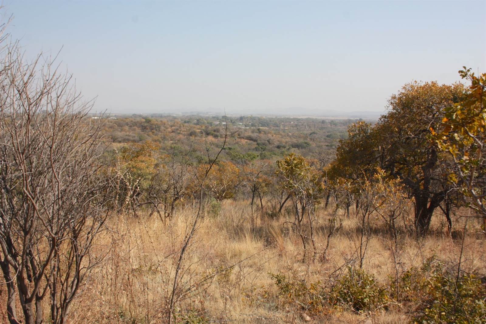 31.2 ha Land available in Zandfontein AH photo number 4