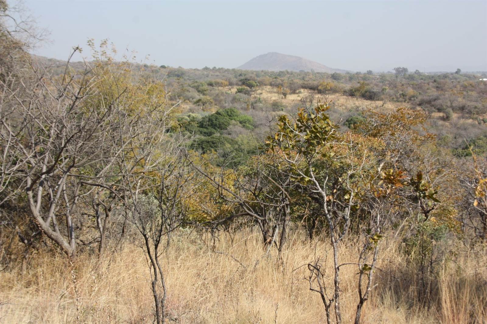 31.2 ha Land available in Zandfontein AH photo number 9