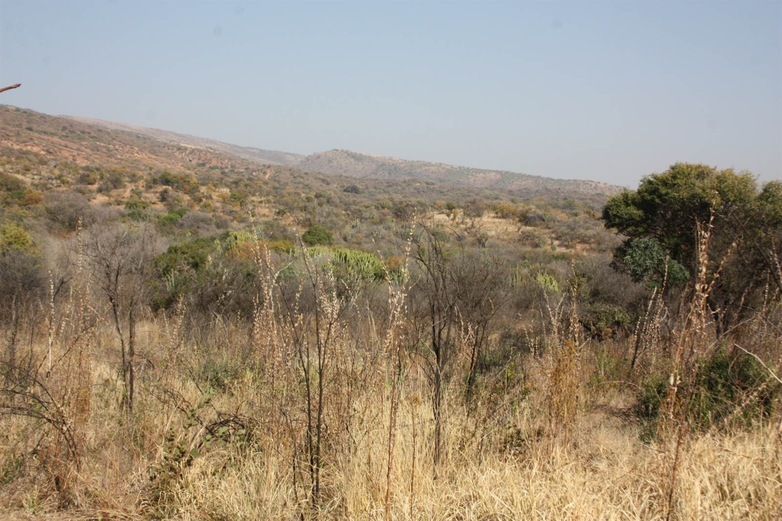 31.2 ha Land available in Zandfontein AH photo number 7