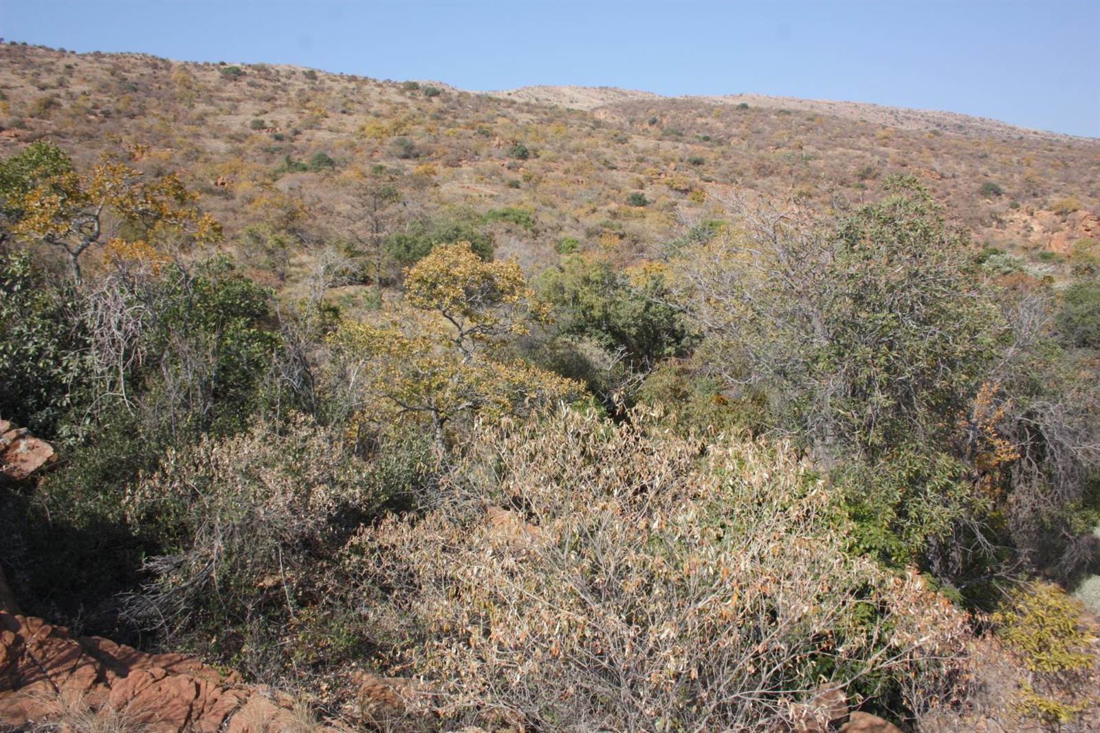 31.2 ha Land available in Zandfontein AH photo number 13