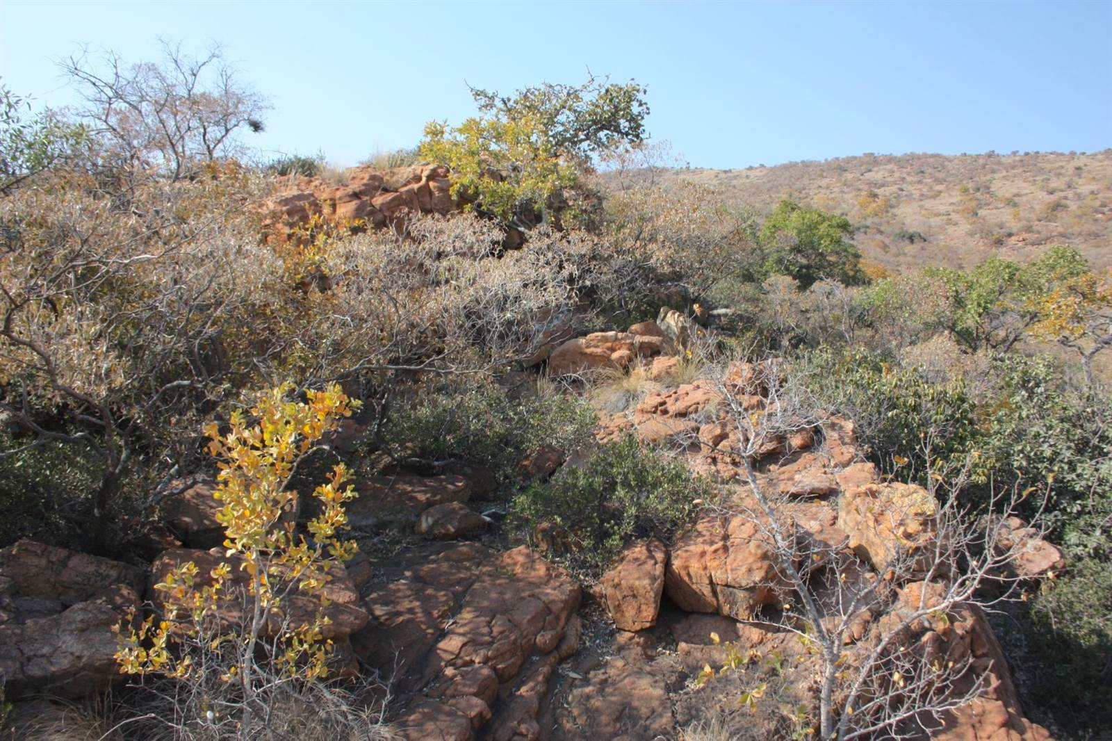31.2 ha Land available in Zandfontein AH photo number 6