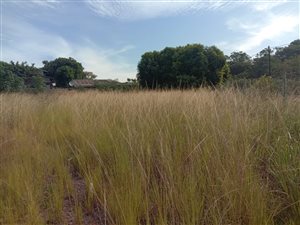 1000 m² Land available in Verulam