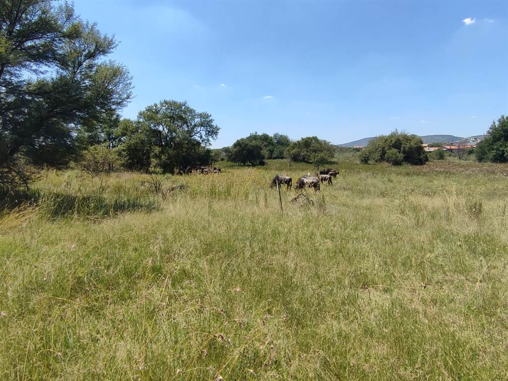 362 m² Land available in Melodie photo number 6