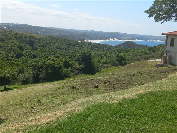 1006 m² Land available in Khamanga Bay