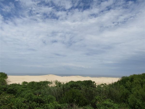 742 m² Land available in Oyster Bay