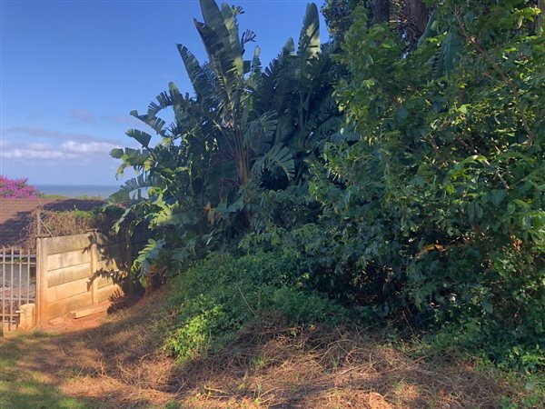 1644 m² Land available in Palm Beach