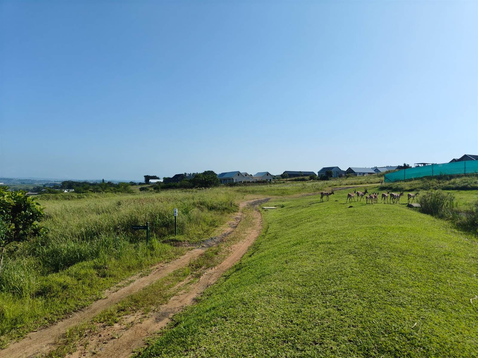 2615 m² Land available in Sheffield Beach photo number 29