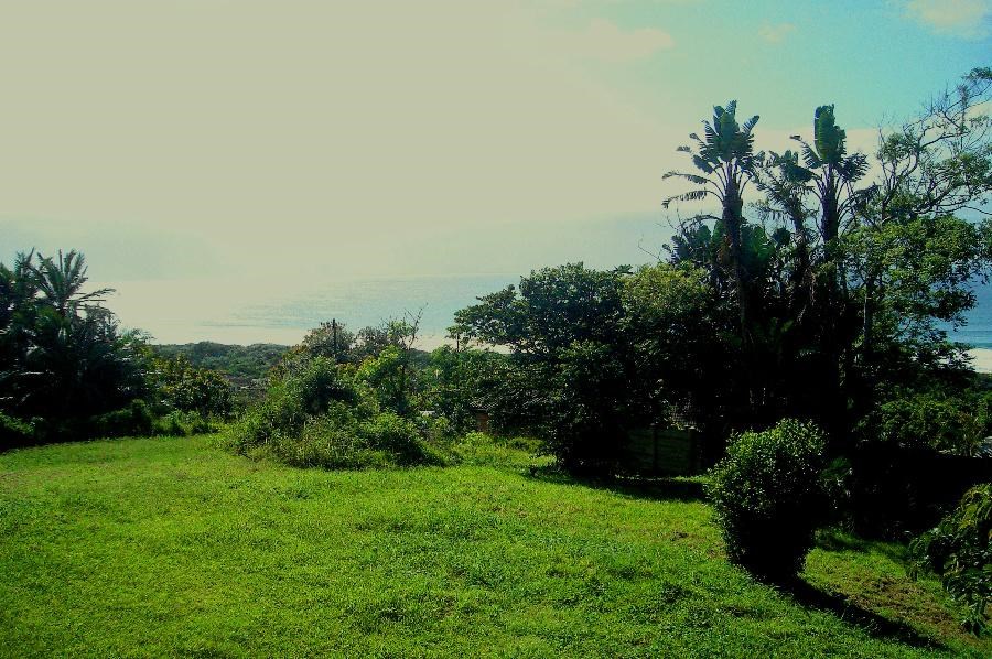 1412 m² Land available in Elysium photo number 3