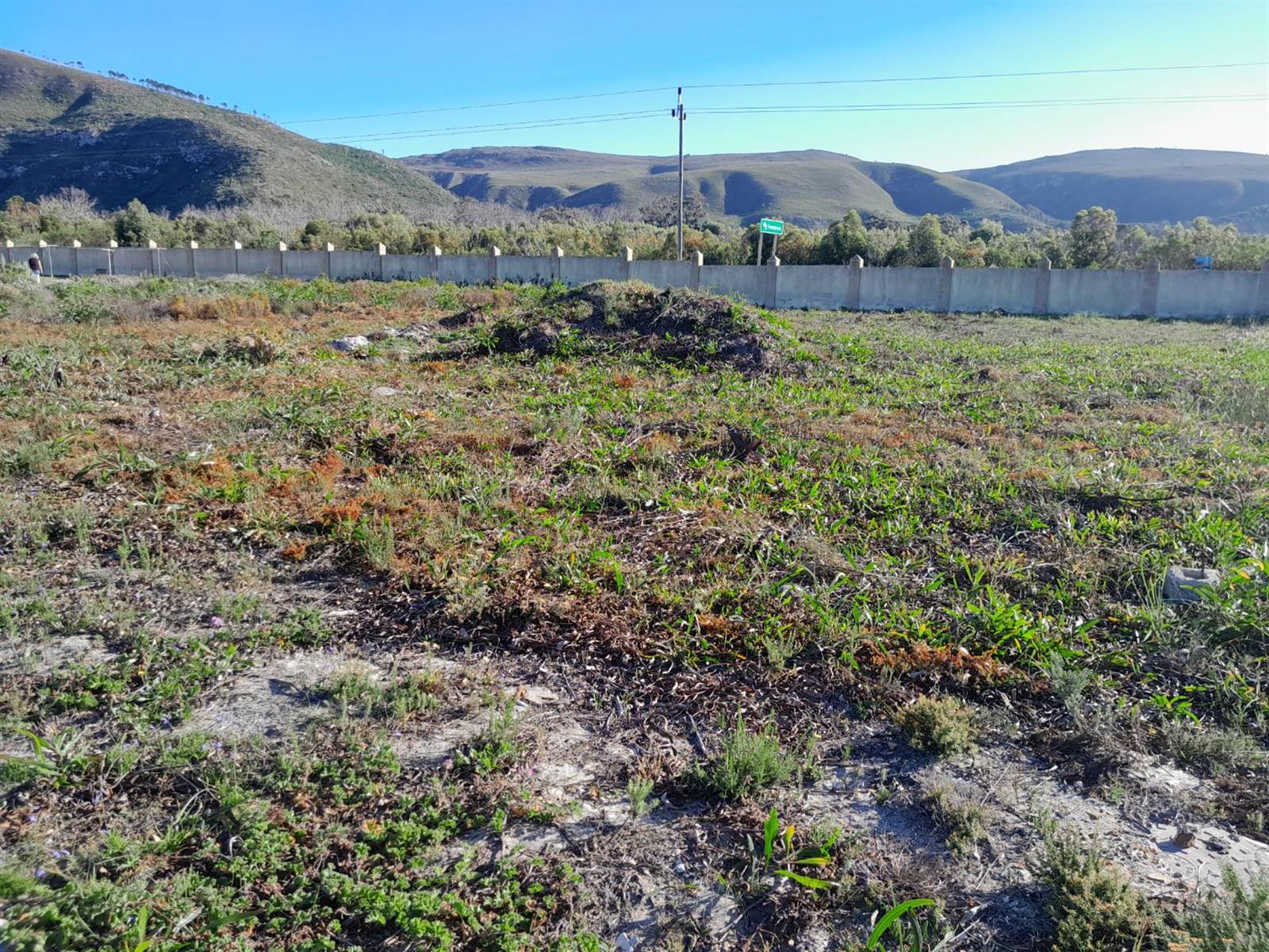 746 m² Land available in Franskraal photo number 5