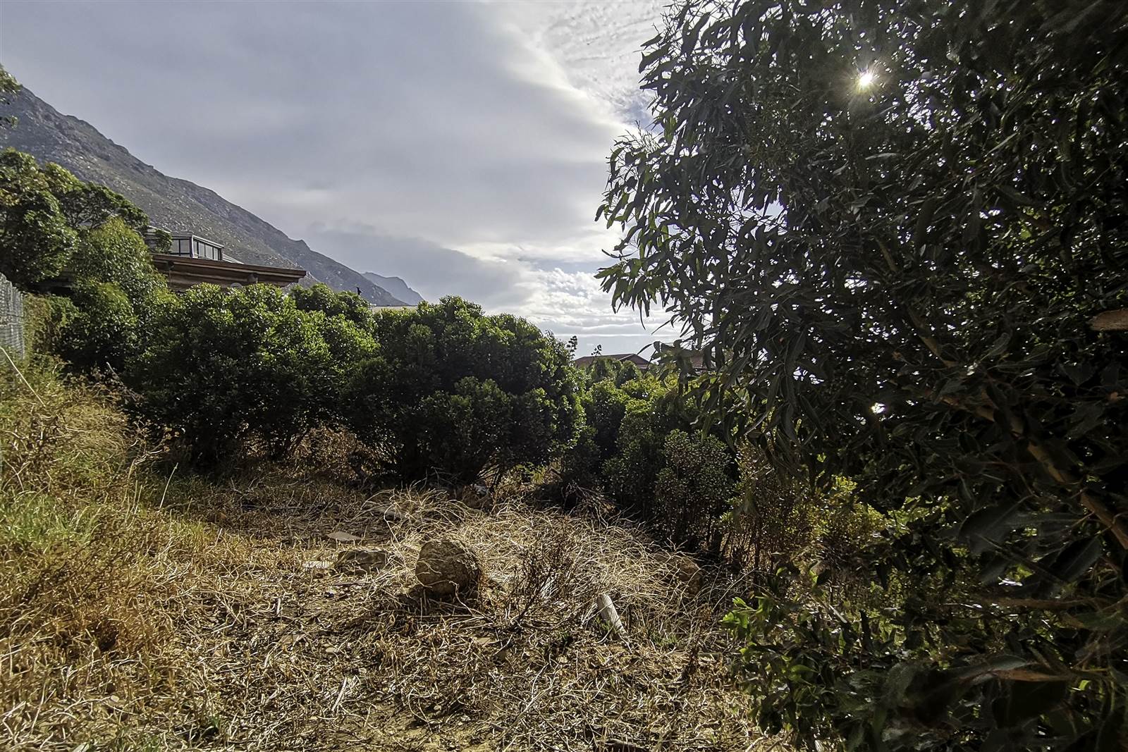 528 m² Land available in Mountainside photo number 6