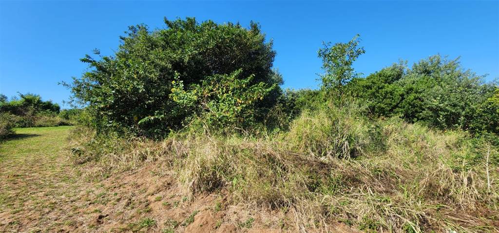 1346 m² Land available in Hawaan Forest Estate photo number 6