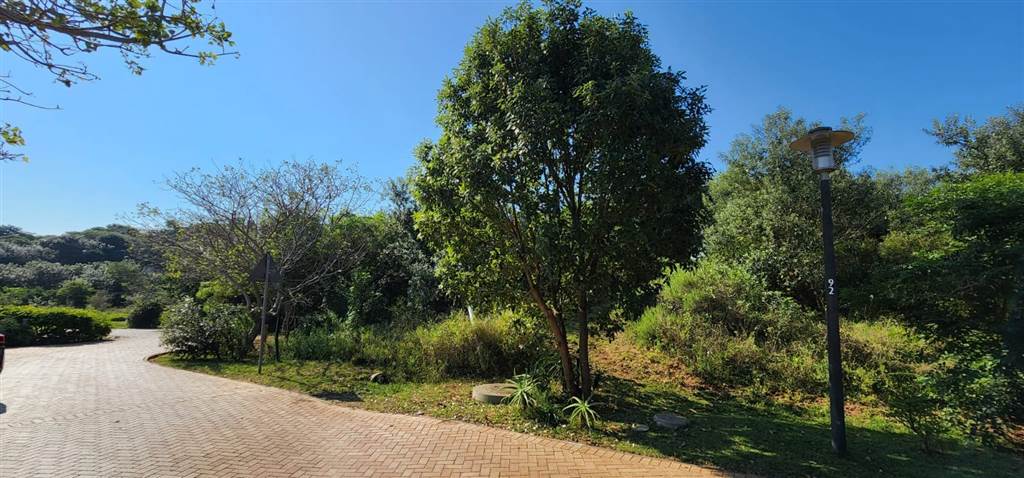 1346 m² Land available in Hawaan Forest Estate photo number 14
