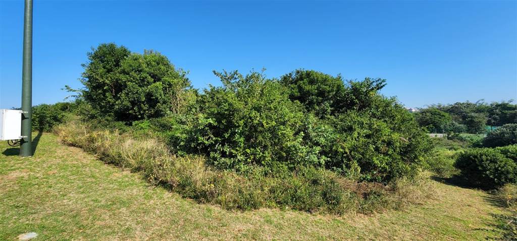 1346 m² Land available in Hawaan Forest Estate photo number 8