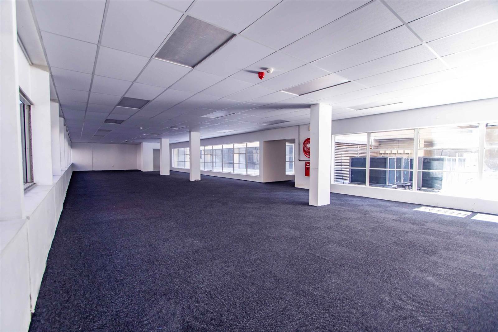 305  m² Office Space in Marshalltown photo number 3