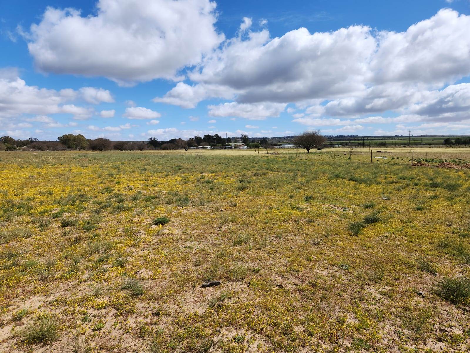 4461 m² Land available in Nieuwoudtville photo number 4