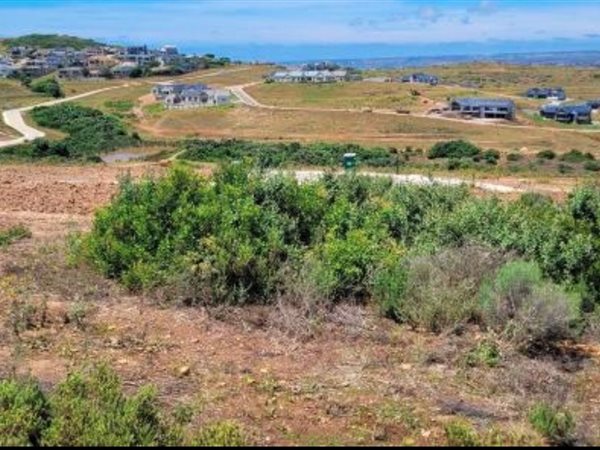 1595 m² Land available in Hartenbos