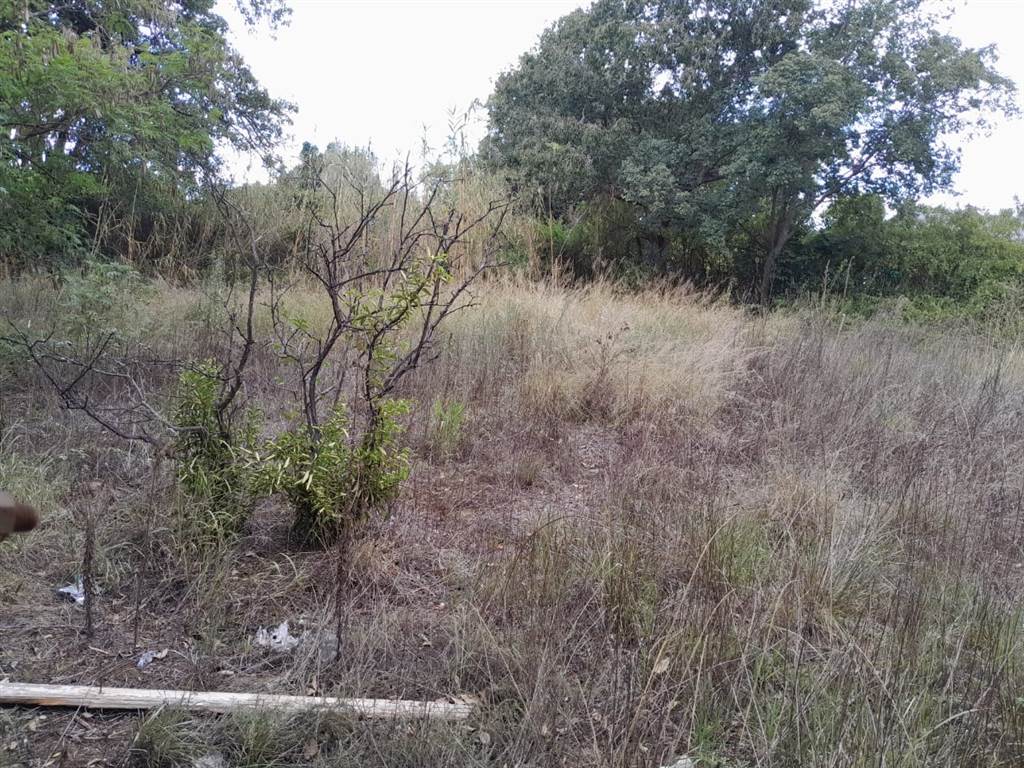 1305 m² Land available in Bedford photo number 6