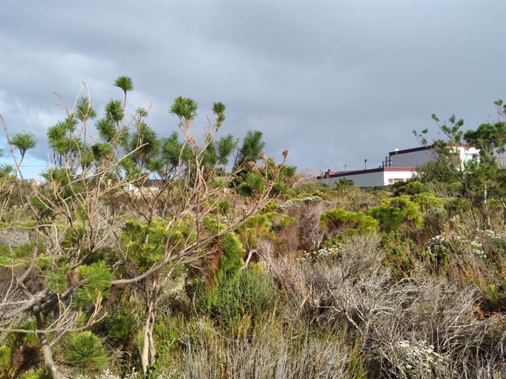 1039 m² Land available in Bettys Bay photo number 5