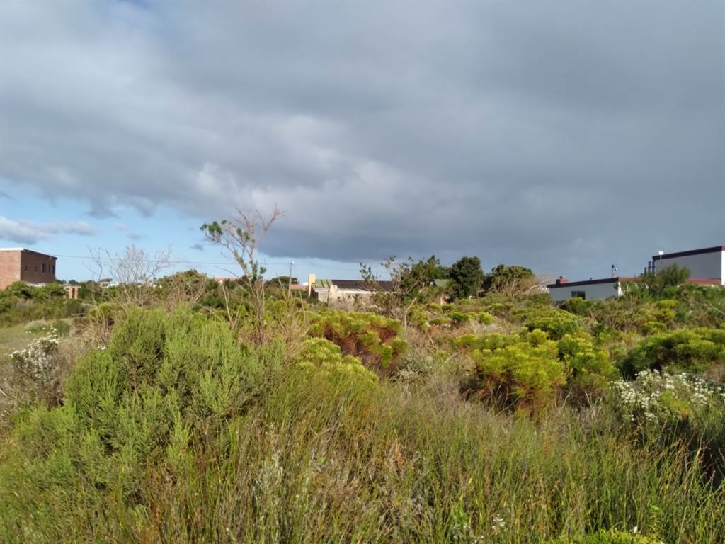 1039 m² Land available in Bettys Bay photo number 2