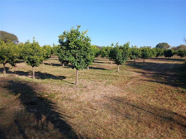 8.6 ha Farm 8.6 ha Farm