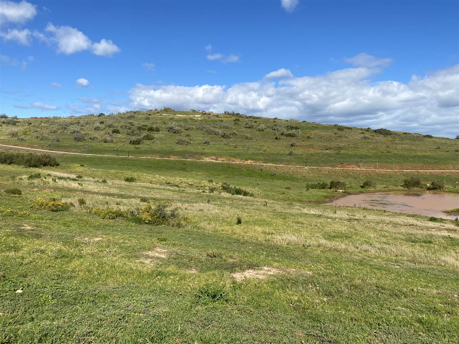 1616 m² Land available in Hartenbos photo number 11