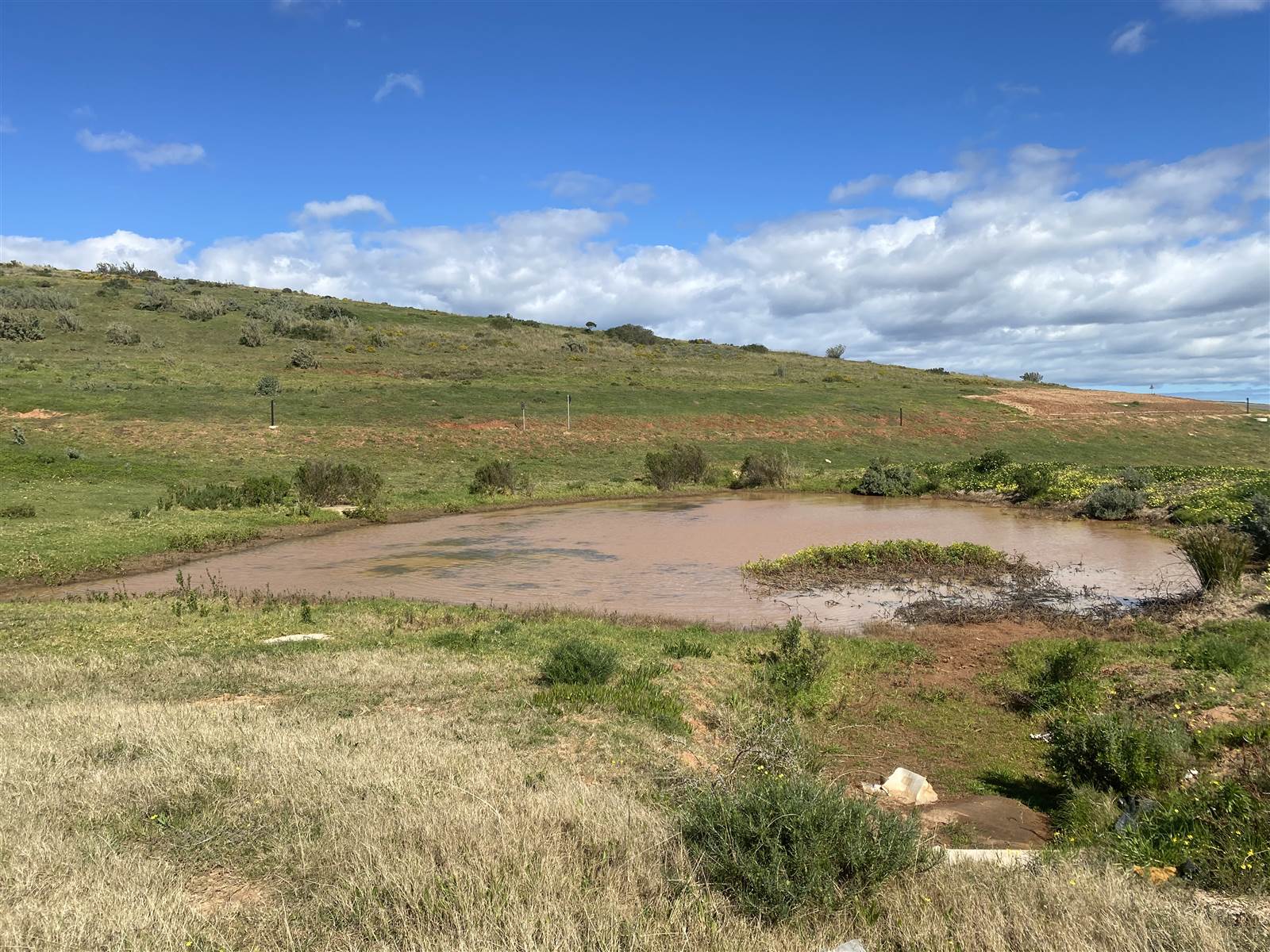 1616 m² Land available in Hartenbos photo number 8