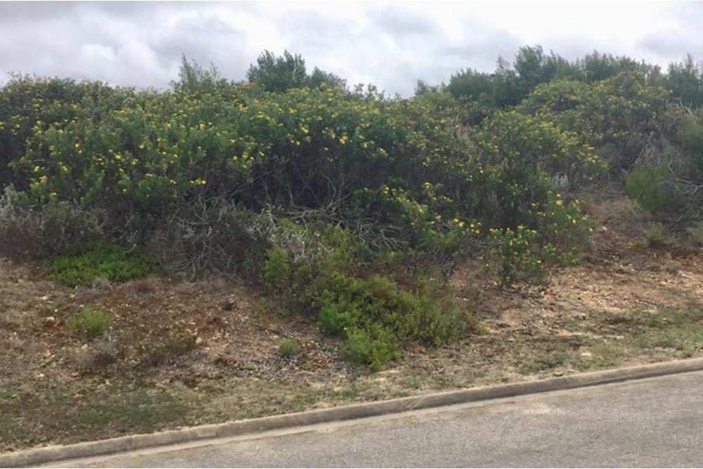 2600 m² Land available in Mossel Bay Central photo number 7