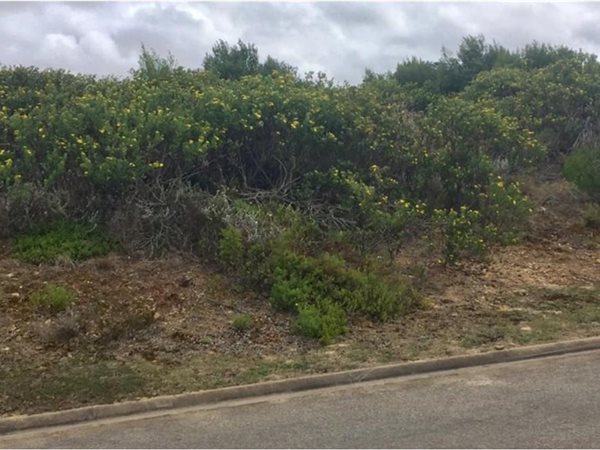 2600 m² Land available in Mossel Bay Central