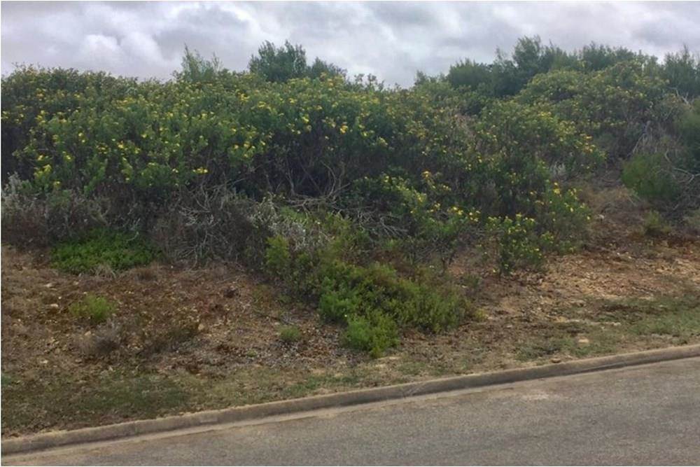 2600 m² Land available in Mossel Bay Central photo number 1