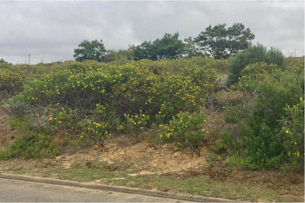 2600 m² Land available in Mossel Bay Central photo number 3
