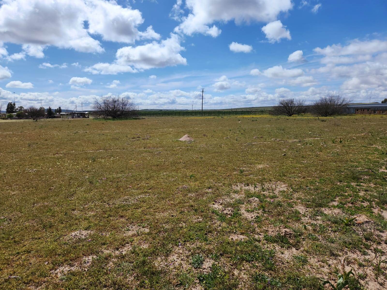 4461 m² Land available in Nieuwoudtville photo number 5