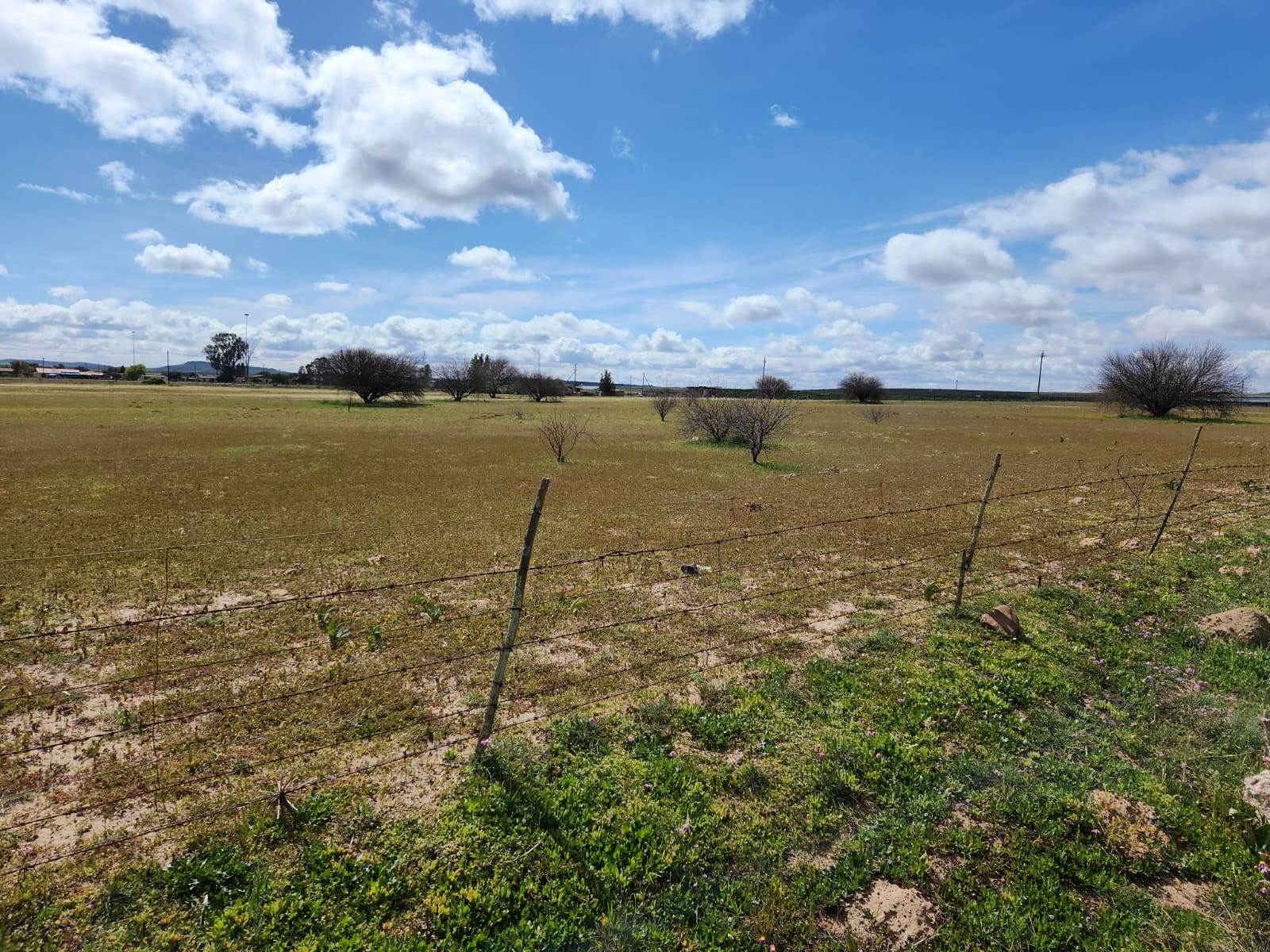 4461 m² Land available in Nieuwoudtville photo number 2