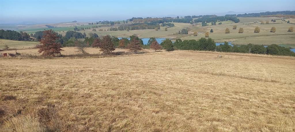 7.2 ha Land available in Mooi River photo number 6