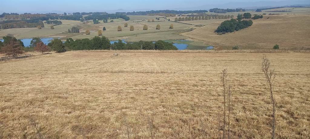 7.2 ha Land available in Mooi River photo number 5