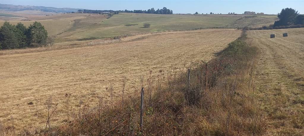 7.2 ha Land available in Mooi River photo number 4
