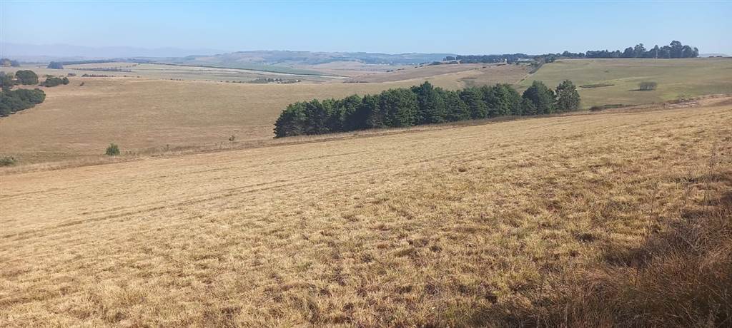 7.2 ha Land available in Mooi River photo number 3