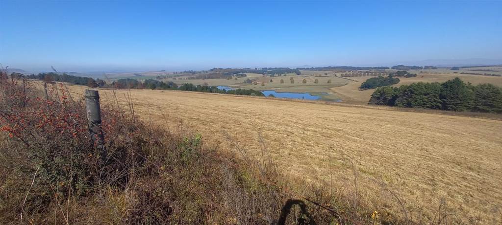 7.2 ha Land available in Mooi River photo number 1