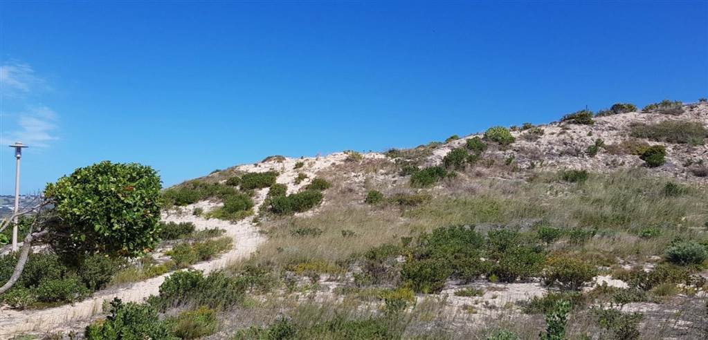 444 m² Land available in Stilbaai photo number 10