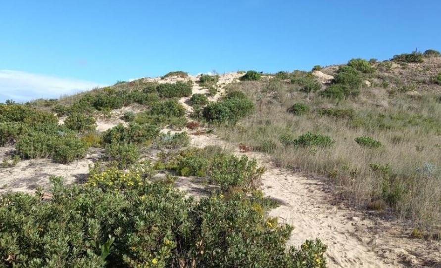 444 m² Land available in Stilbaai photo number 9