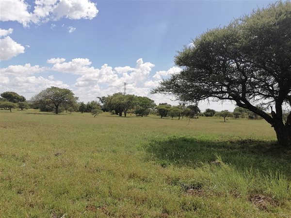 1 484 m² Land