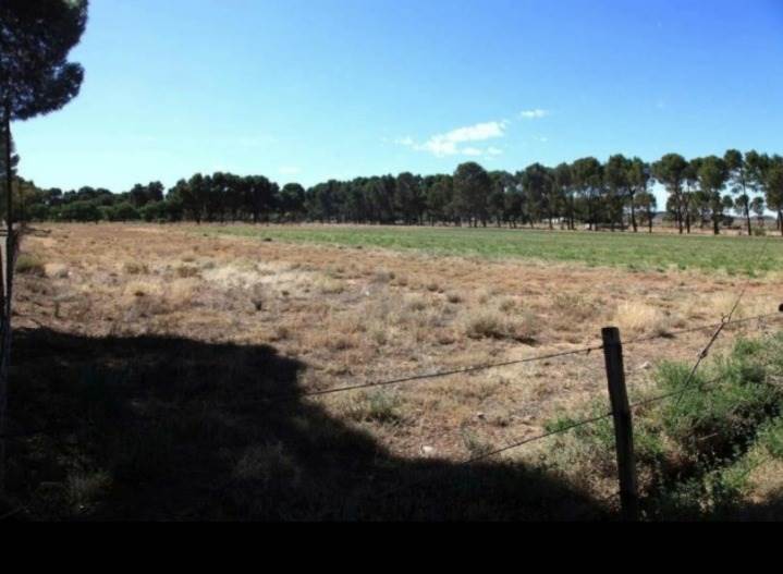 1.2 ha Land available in Loxton photo number 5