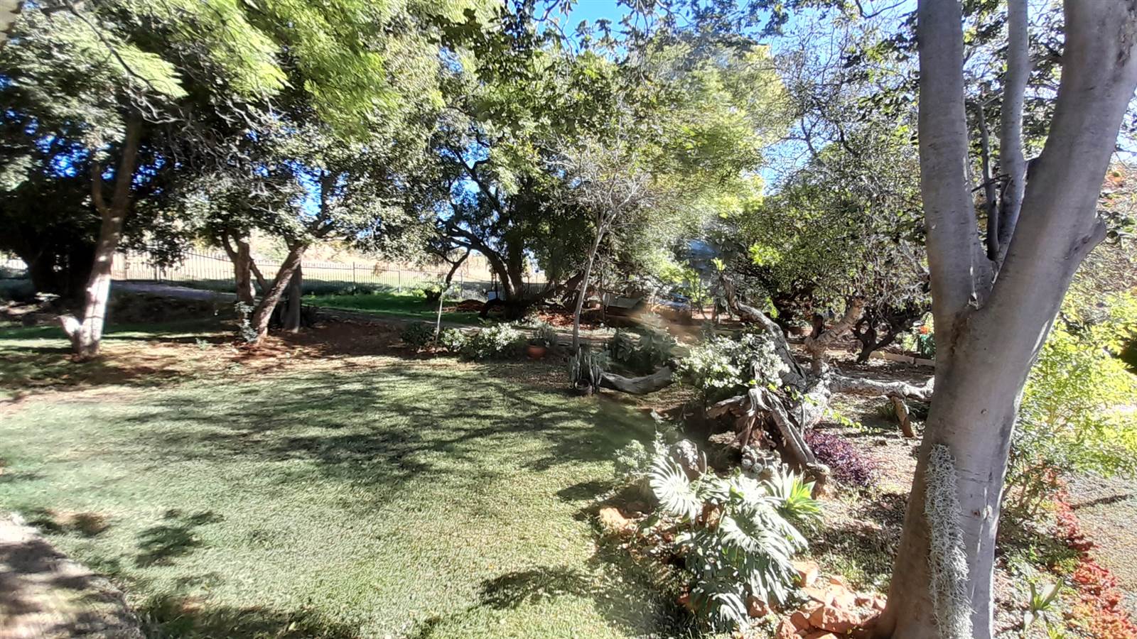 4.7 ha Farm in Strydfontein and surrounds photo number 8